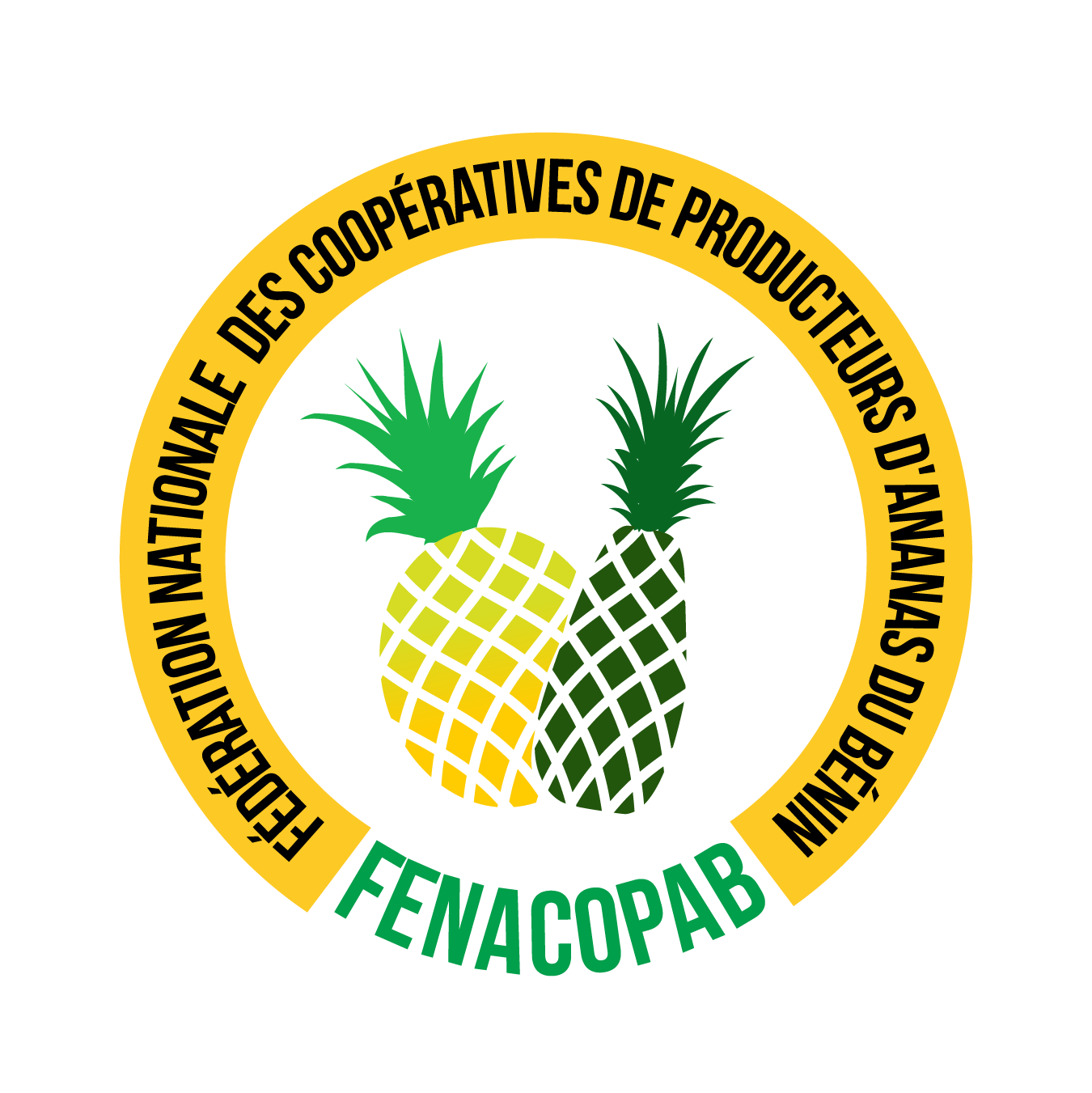 Logo FENACOPAB
