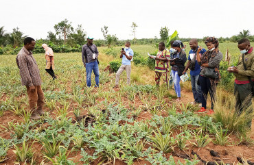 Le Conseil Agricole