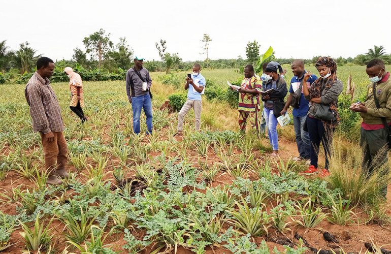 Le Conseil Agricole