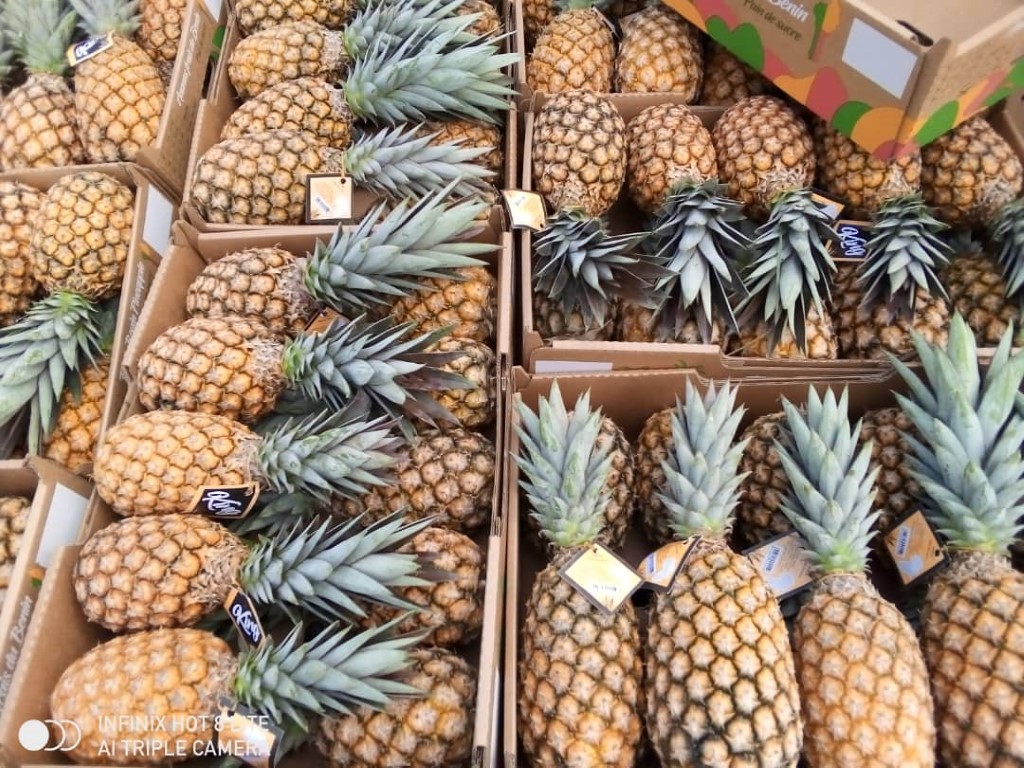 Fiche technique Ananas Cayenne Lisse